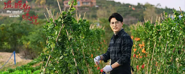 温暖的味道孙光明和岳岚在一起了吗