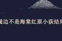 鬓边不是海棠红原小荻结局